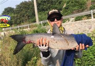 青鱼视频国产3,探索青春光影下的情感世界 第3张 青鱼视频国产3,探索青春光影下的情感世界 第3张